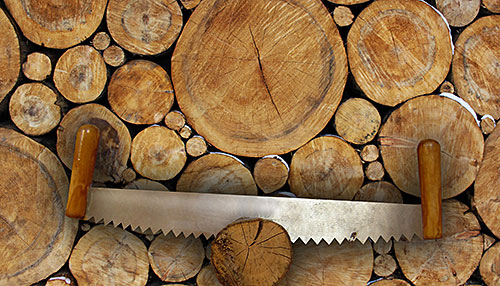 Lumber and hand saw